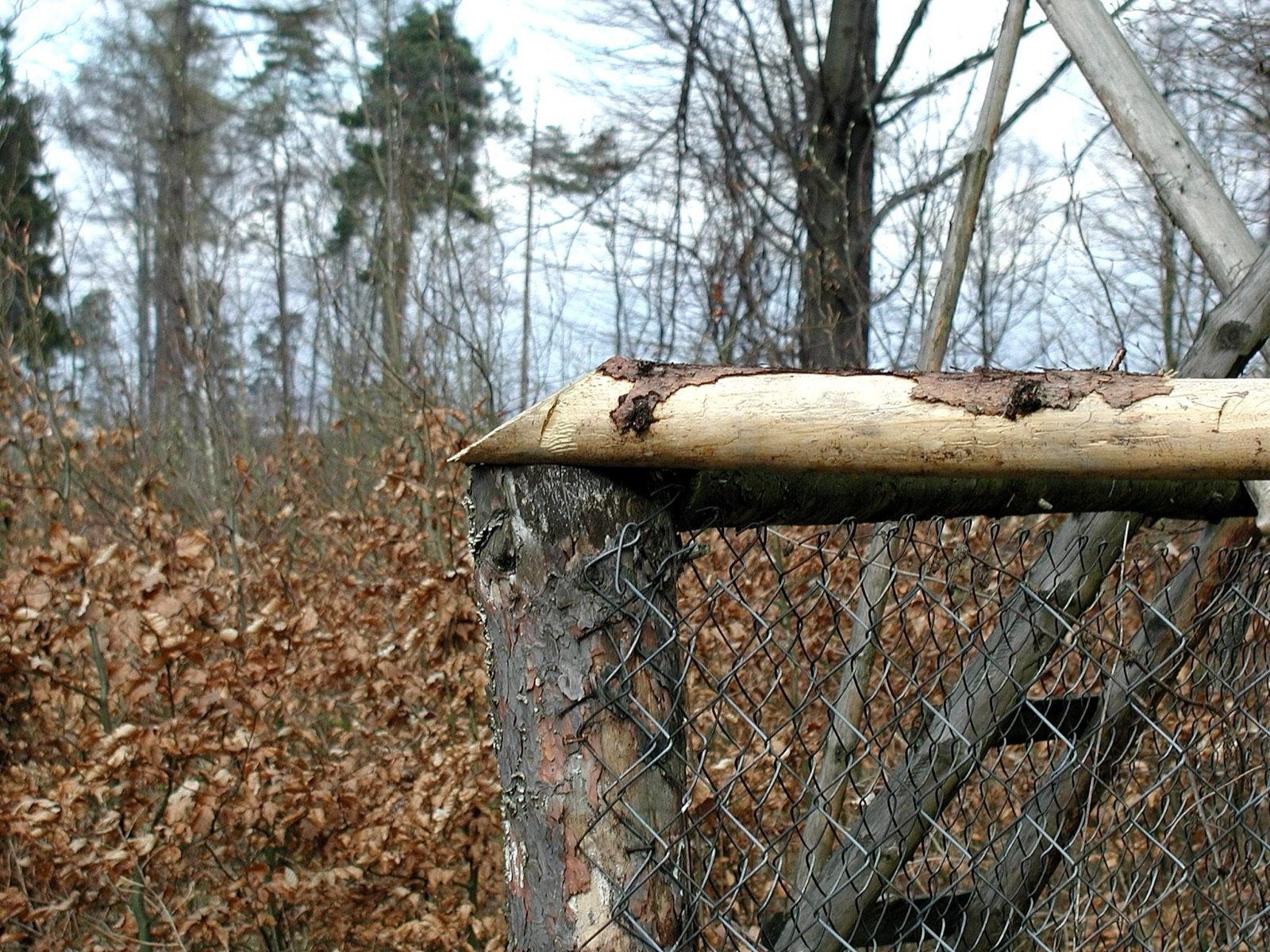 Luxury modern fence design